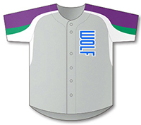 野球ユニフォーム｜【野球王国】8973